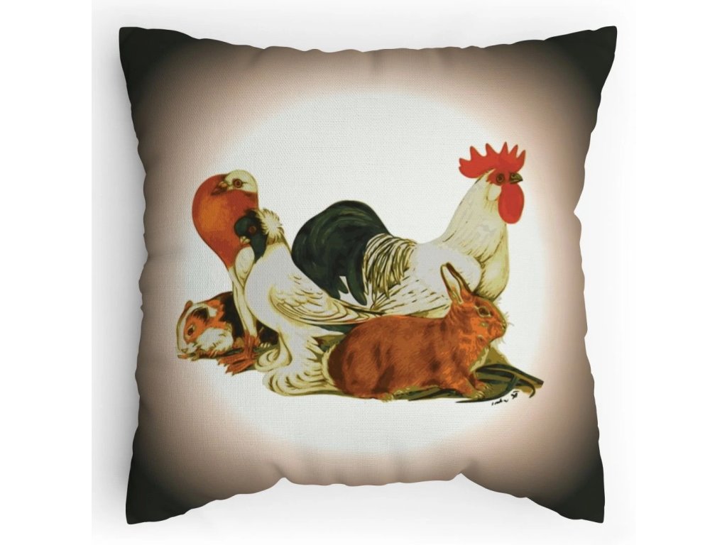 Polštářek s potiskem Výstava