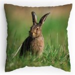 Polštářek s potiskem Zajíc