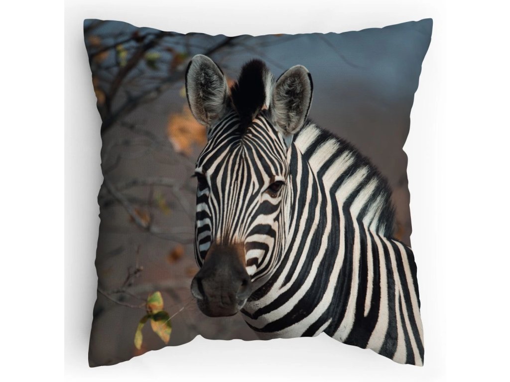 Polštářek s potiskem Zebra