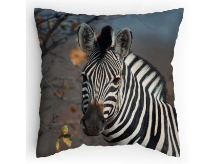 Polštářek s potiskem Zebra