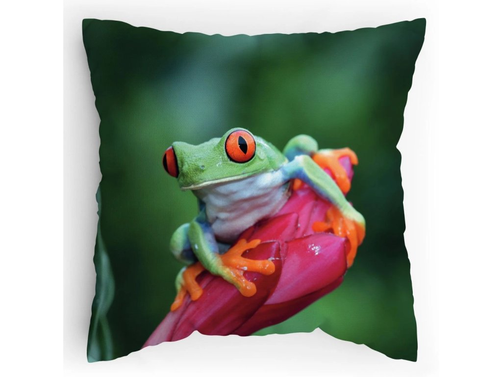 Polštářek s potiskem Žabák