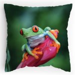 Polštářek s potiskem Žabák