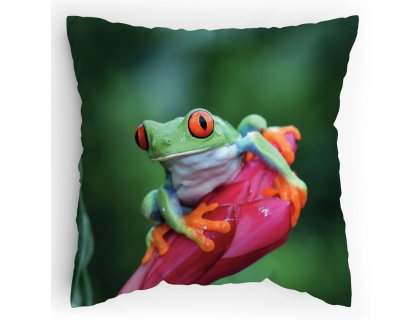 Polštářek s potiskem Žabák