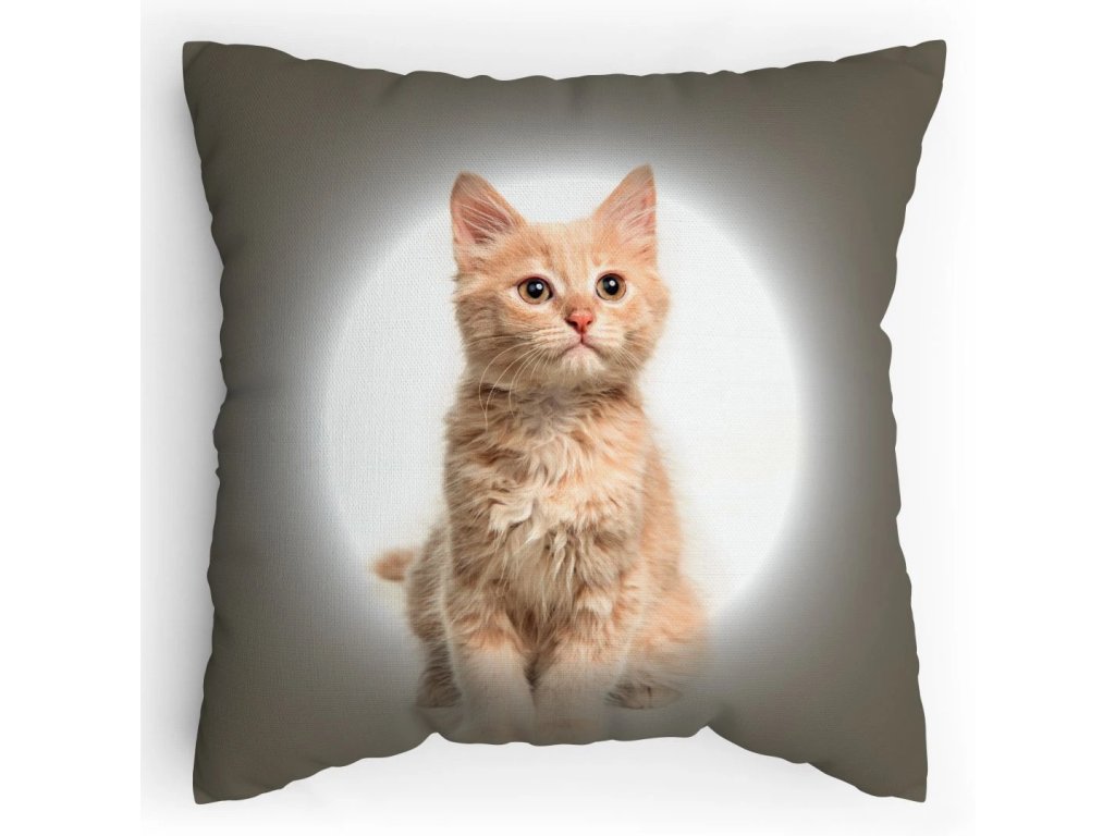 Polštářek s potiskem Zrzavobílá kočka