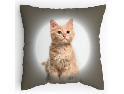 Polštářek s potiskem Zrzavobílá kočka