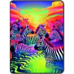 Přikrývka s potiskem Duhové zebry
