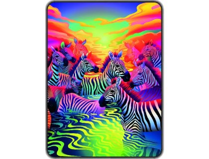 Přikrývka s potiskem Duhové zebry