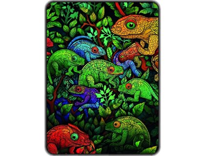 Přikrývka s potiskem Duhový Chameleoni