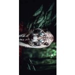 Ručník s potiskem Bílý tygr