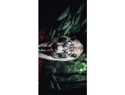 Ručník s potiskem Bílý tygr