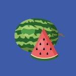 Sada polštářků s potiskem Výukový Slabikář 32 Ks