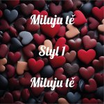 Zamilovaný polštářek s vlastním textem