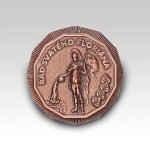 Hasičský řád Svatý Florián 70 mm