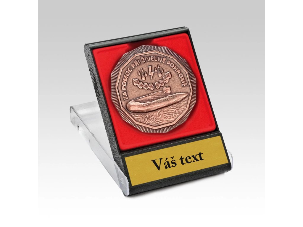 Hasičský řád Za pomoc při živelné pohromě 50mm