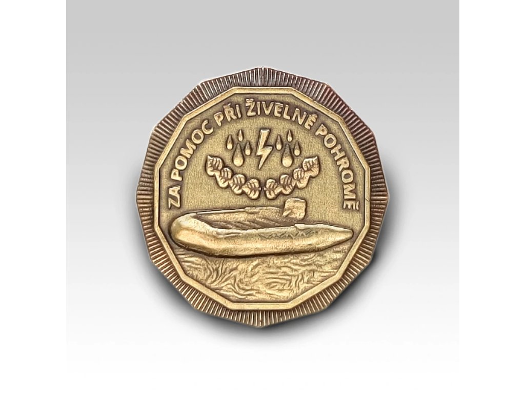 Hasičský řád Za pomoc při živelné pohromě 70mm