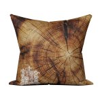 Polštář s potiskem Letokruhy SDH