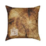 Polštář s potiskem Letokruhy SDH