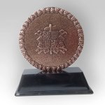 Trofej barvená 13cm Hasiči v akci