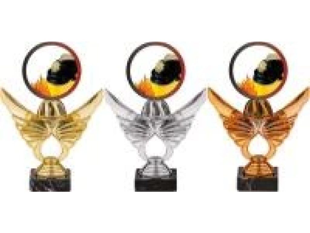 Trofej hasiči PCA0001M12