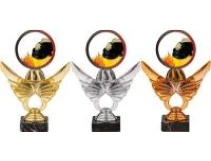 Trofej hasiči PCA0001M12