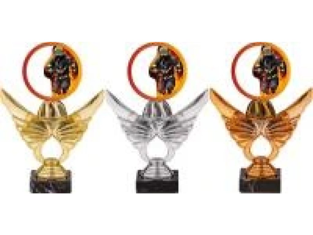 Trofej hasiči PCA0001M13