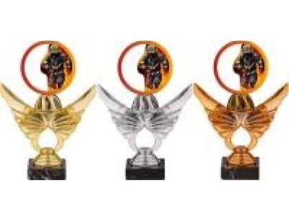 Trofej hasiči PCA0001M13