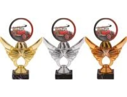 Trofej hasiči PCA0001M14