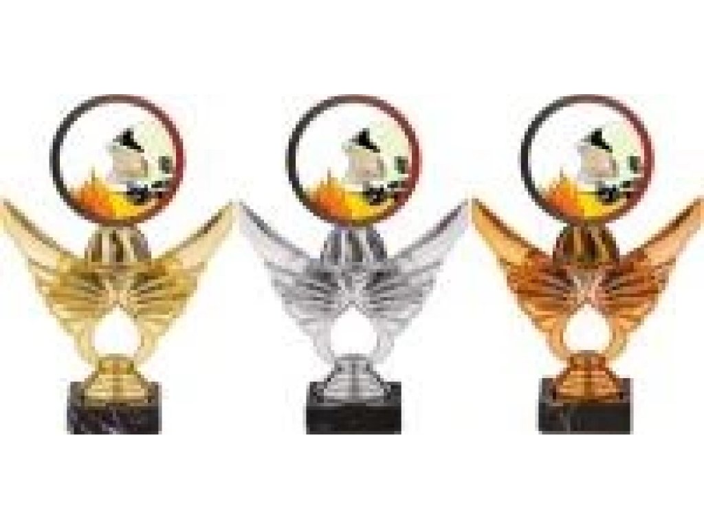 Trofej hasiči PCA0001M11