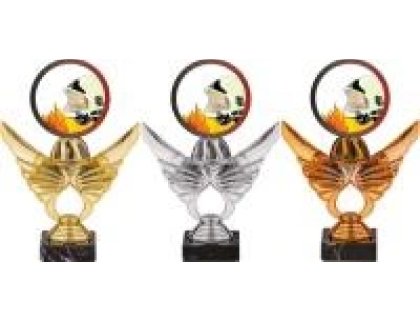 Trofej hasiči PCA0001M11