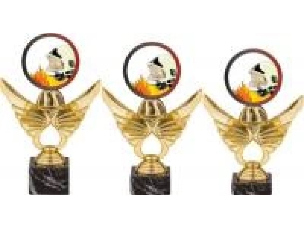 Trofej hasiči PCA0002M11