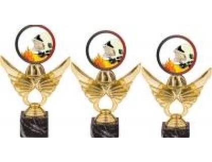 Trofej hasiči PCA0002M11