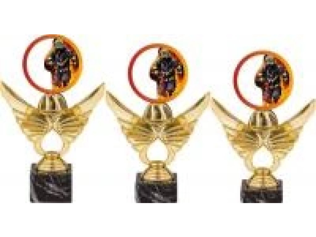 Trofej hasiči PCA0002M13