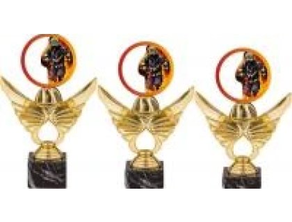 Trofej hasiči PCA0002M13