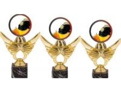 Trofej hasiči PCA0002M12