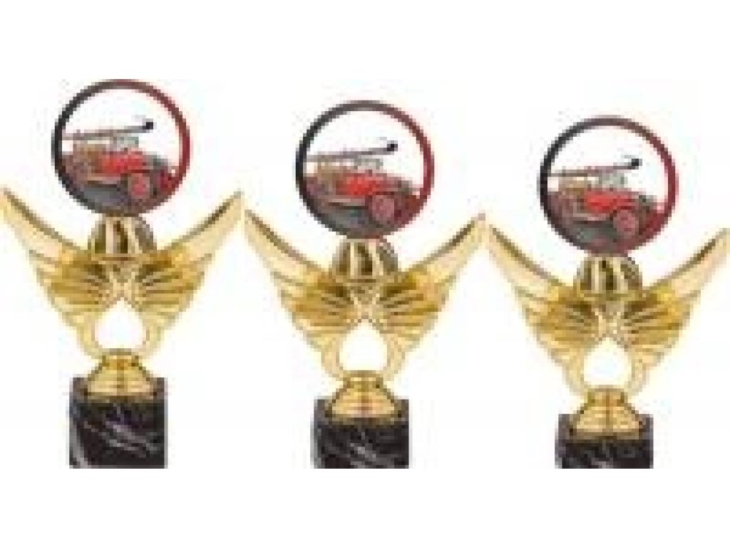 Trofej hasiči PCA0002M14