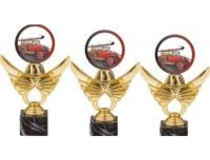 Trofej hasiči PCA0002M14