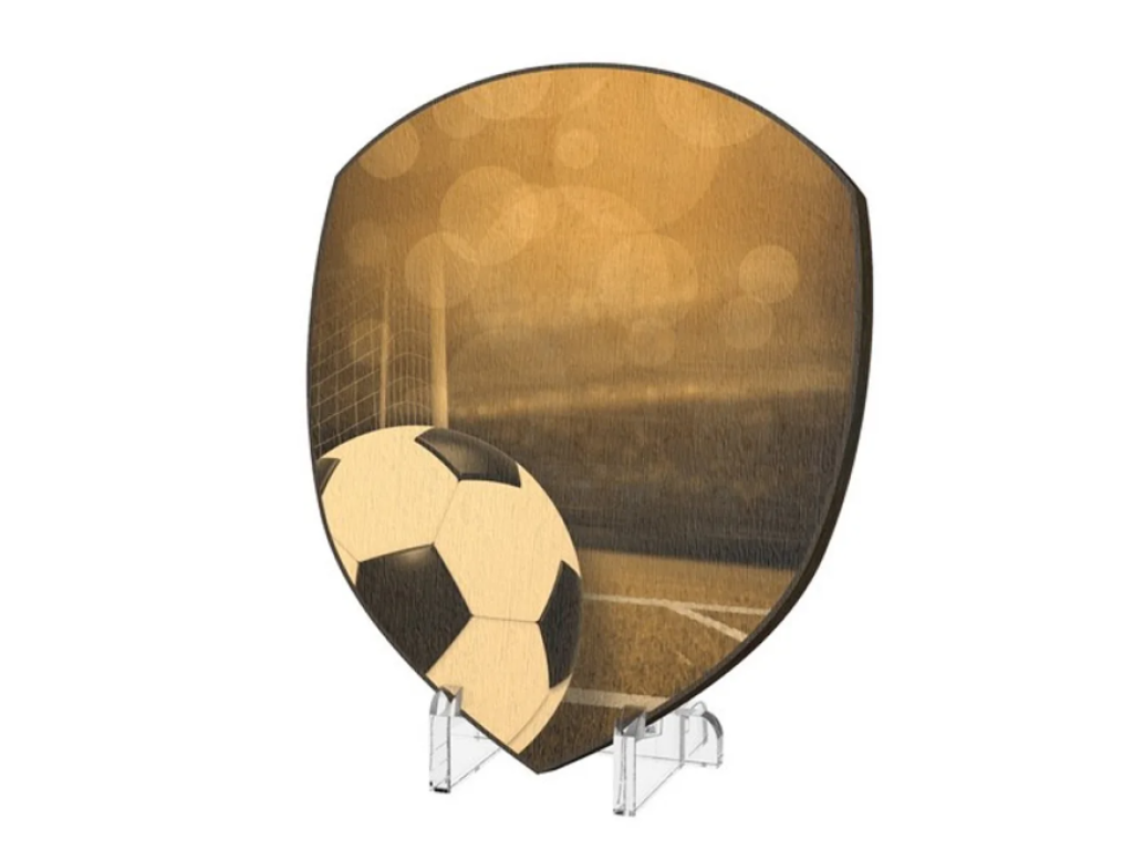 Plaketa Fotbal WPPR004M06