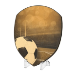 Plaketa Fotbal WPPR004M06