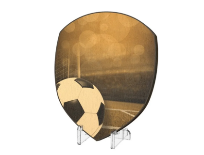 Plaketa Fotbal WPPR004M06