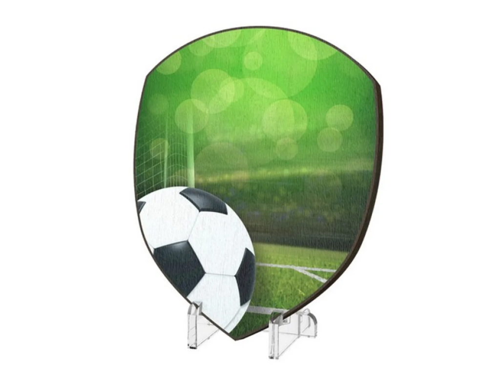 Plaketa Fotbal WPP004M06