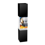 Skleněná trofej Hasiči CR4021M29