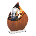 Skleněná trofej Hasiči CR4021M29