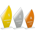 Skleně trofej CR20187