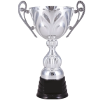 Pohár Standard S0138