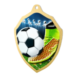 Kovová medaile Fotbal MDM02M01