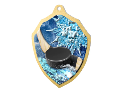 Kovová medaile Hokej MDM02M38