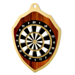 Kovová medaile Šipky MDM02M14