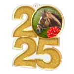 Akrylátová medaile Jezdectví MDA2025M31