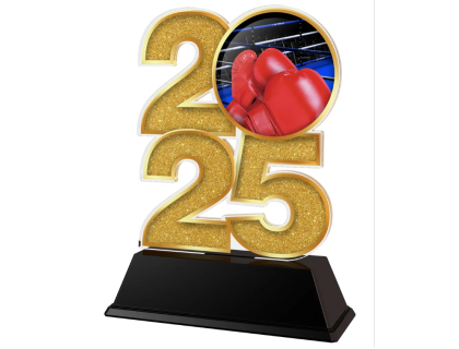 Akrylátová trofej Bojová umění C2025M25