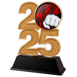 Akrylátová trofej Bojová umění C2025M25